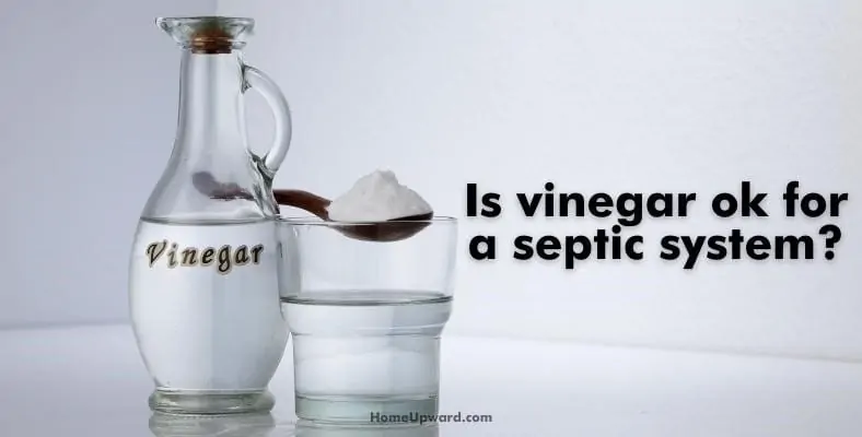 is vinegar ok for a septic system
