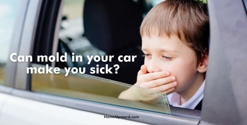 can mold in your car make you sick