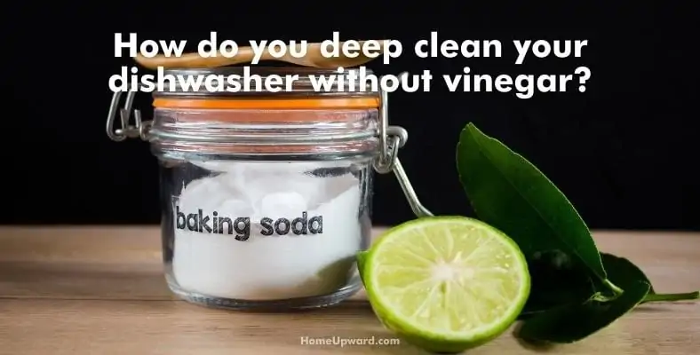 how do you deep clean your dishwasher without vinegar