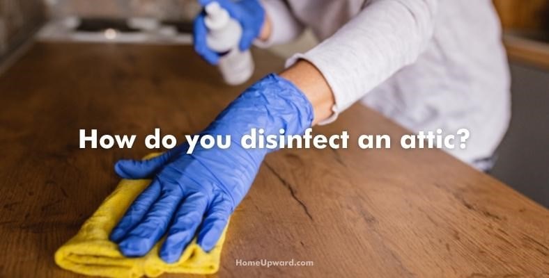 how do you disinfect an attic