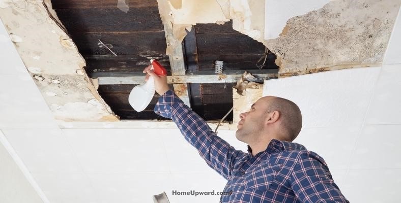 how do you get rid of mold in your attic 1