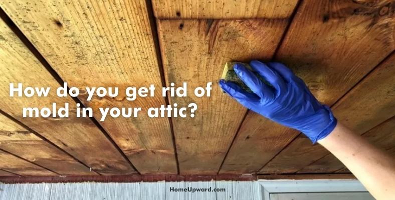 how do you get rid of mold in your attic