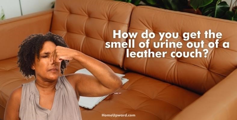how do you get the smell of urine out of a leather couch