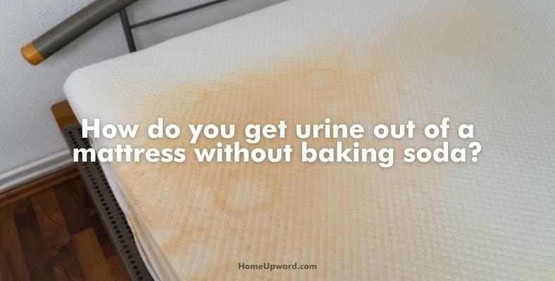 how do you get urine out of a mattress without baking soda