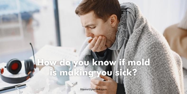 how do you know if mold is making you sick