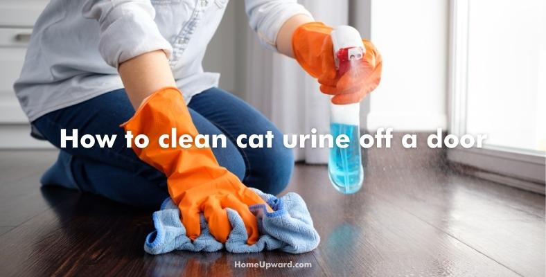 how to clean cat urine off a door