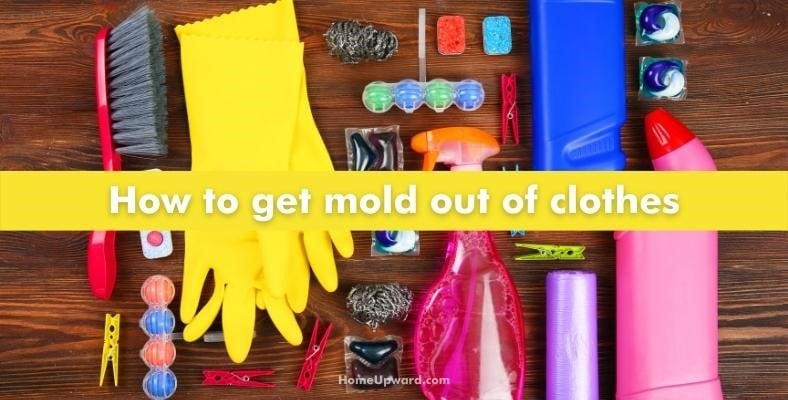 how to get mold out of clothes
