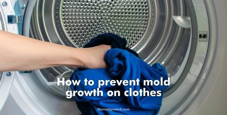 how to prevent mold growth on clothes