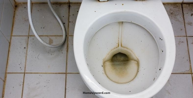 what are the brown stains at the bottom of a toilet bowl