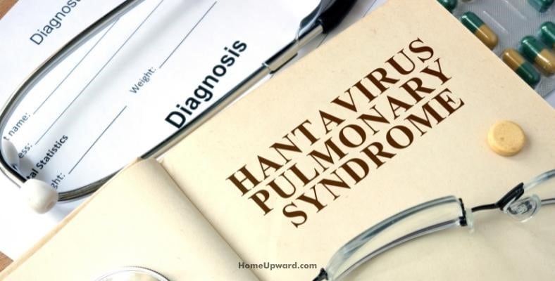 what is hantavirus pulmonary syndrome hps