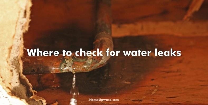 where to check for water leaks