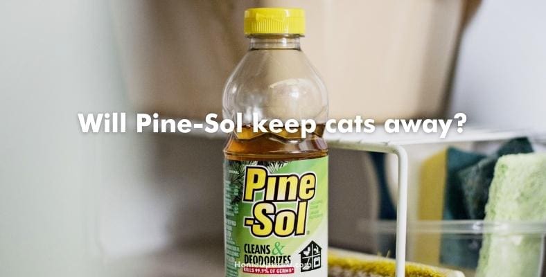 will pine sol keep cats away