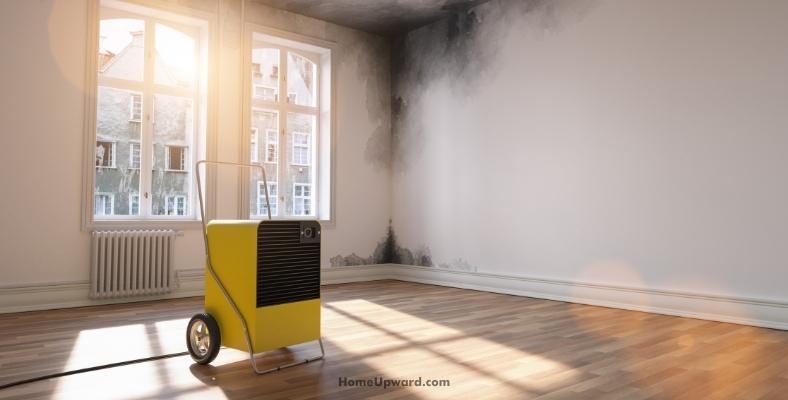 should a dehumidifier be used in a vented or unvented attic