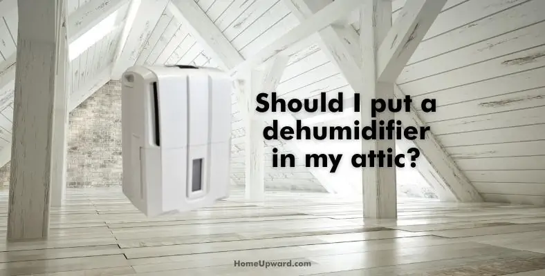 should i put a dehumidifier in my attic